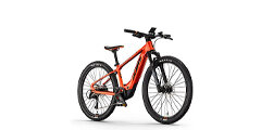 E-Kids (Light E-Bikes)