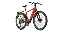 E-Trekking Onroad (Light E-Bikes)